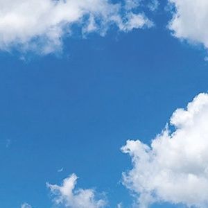 Meet your Posher, LJ